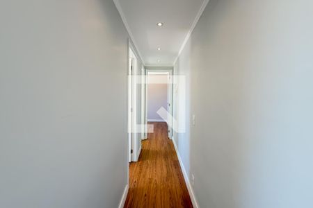 Corredor de apartamento para alugar com 2 quartos, 40m² em Cambuci, São Paulo