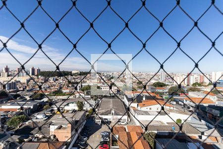 Vista do Quarto 1 de apartamento para alugar com 3 quartos, 158m² em Vila Moinho Velho, São Paulo