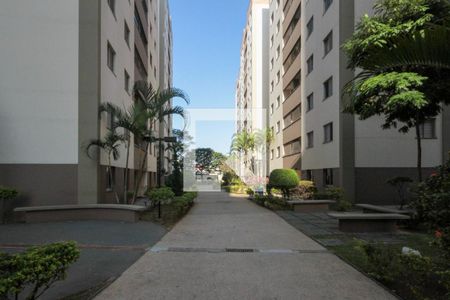 Área comum de apartamento à venda com 2 quartos, 52m² em Vila Bela, São Paulo