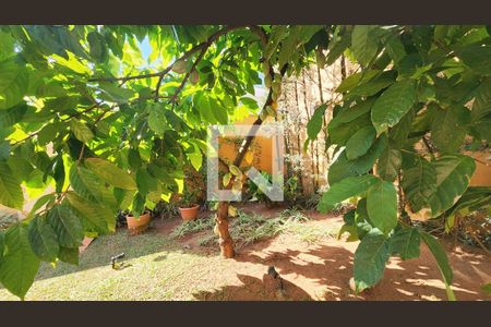 Quintal de casa de condomínio à venda com 6 quartos, 407m² em Loteamento Portal do Paraiso, Jundiaí