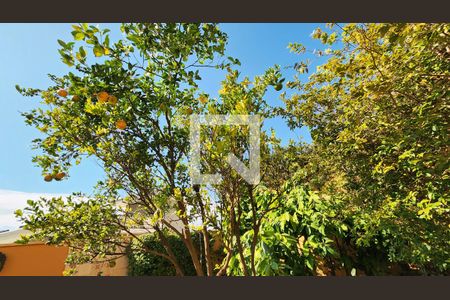 Quintal de casa de condomínio à venda com 6 quartos, 407m² em Loteamento Portal do Paraiso, Jundiaí