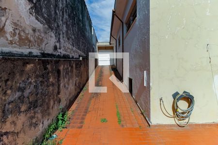 Quintal de casa à venda com 2 quartos, 325m² em Vila Sonia, São Paulo