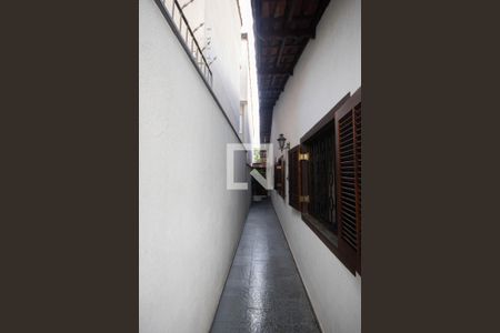 Quintal de casa à venda com 3 quartos, 198m² em Vila Maria Alta, São Paulo