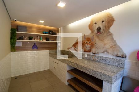 Área comum - Dog Showers de apartamento para alugar com 1 quarto, 27m² em Jardim Caravelas, São Paulo