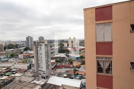 Vista do Quarto 1 de apartamento para alugar com 2 quartos, 96m² em Vila das Palmeiras, Guarulhos