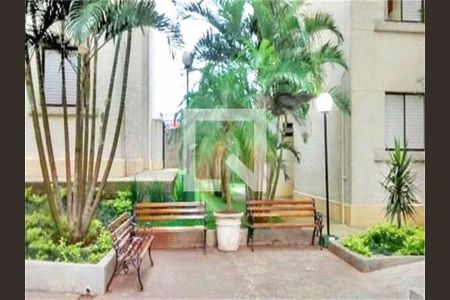 Apartamento à venda com 2 quartos, 52m² em Vila Santa Catarina, São Paulo