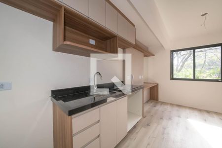 Studio de kitnet/studio para alugar com 1 quarto, 16m² em Vila Guarani (zona Sul), São Paulo