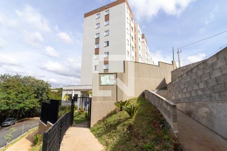 Fachada de apartamento para alugar com 2 quartos, 47m² em Jardim Boa Esperança, Campinas