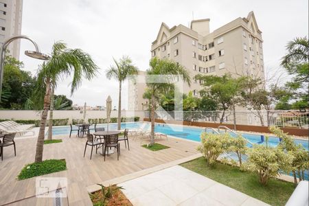 Área comum - Piscina de apartamento para alugar com 2 quartos, 58m² em Vila Formosa, São Paulo