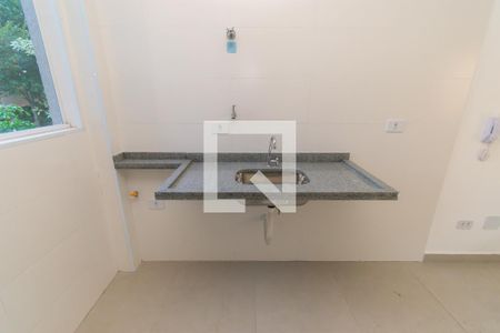 Cozinha de apartamento para alugar com 2 quartos, 37m² em Vila Lucia, São Paulo