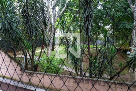 Vista - Quarto 1 de apartamento para alugar com 2 quartos, 51m² em Parque Renato Maia, Guarulhos