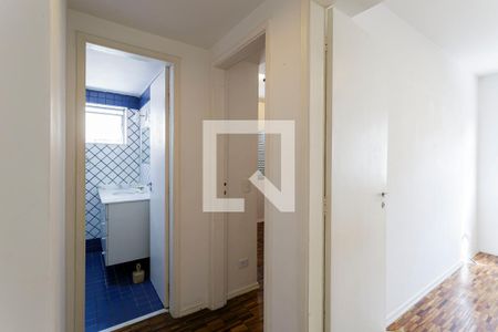 Corredor de apartamento para alugar com 2 quartos, 87m² em Indianópolis, São Paulo