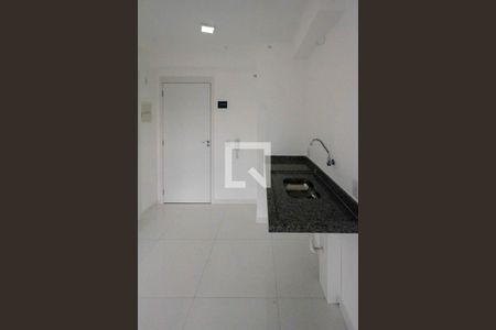 Cozinha de kitnet/studio para alugar com 1 quarto, 27m² em Quinta da Paineira, São Paulo
