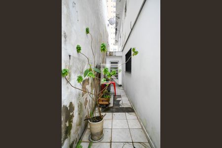 Quintal de casa à venda com 3 quartos, 306m² em Jardim Previdencia, São Paulo
