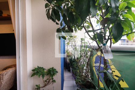 Varanda de apartamento para alugar com 3 quartos, 80m² em Tatuapé, São Paulo