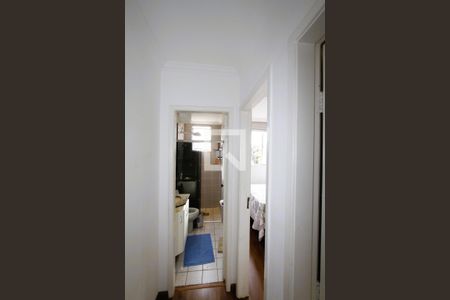 Corredor de apartamento à venda com 2 quartos, 65m² em Havaí, Belo Horizonte