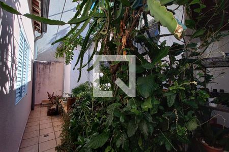 Área comum de casa à venda com 3 quartos, 291m² em Vila Joaquim Inacio, Campinas