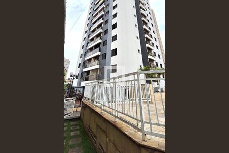 Apartamento à venda com 3 quartos, 75m² em Tucuruvi, São Paulo