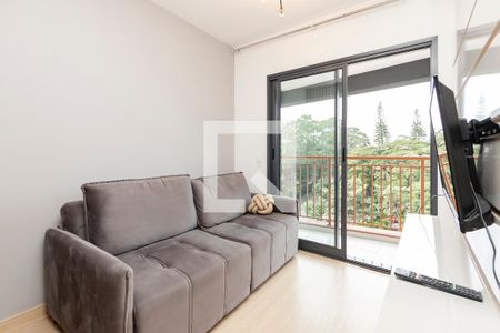 Sala de apartamento para alugar com 2 quartos, 45m² em Santo Amaro, São Paulo