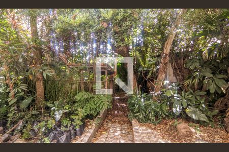 Quintal de casa à venda com 7 quartos, 350m² em Santo Antônio, Belo Horizonte