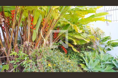 Área comum de kitnet/studio para alugar com 1 quarto, 26m² em Carvoeira, Florianópolis