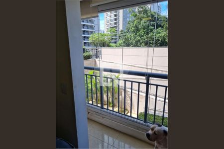 Apartamento à venda com 3 quartos, 66m² em Vila Andrade, São Paulo