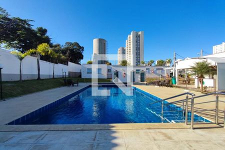 Área comum - Piscina de apartamento à venda com 2 quartos, 47m² em Vila São Bernardo, Campinas