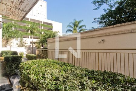 Vista da Sala de apartamento para alugar com 2 quartos, 40m² em Jardim Iris, São Paulo