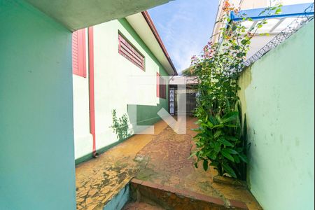 Quintal Lateral de casa à venda com 3 quartos, 194m² em Vila Homero Thon, Santo André