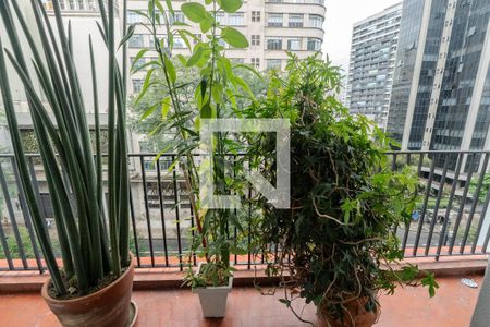 Apartamento para alugar com 208m², 4 quartos e sem vaga Apartamento para alugar com 208m², 4 quartos e sem vagaSacada