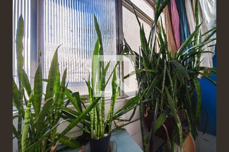 Apartamento à venda com 85m², 3 quartos e 1 vagaÁrea de Serviço