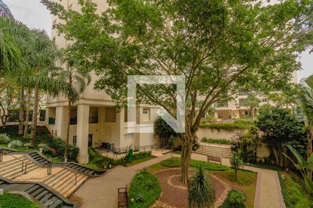 Área comum de apartamento à venda com 3 quartos, 112m² em Vila Mascote , São Paulo