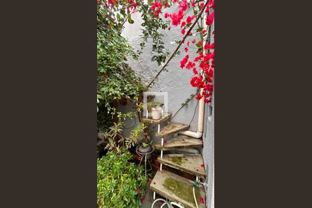 Casa à venda com 240m², 4 quartos e 1 vagaQuintal