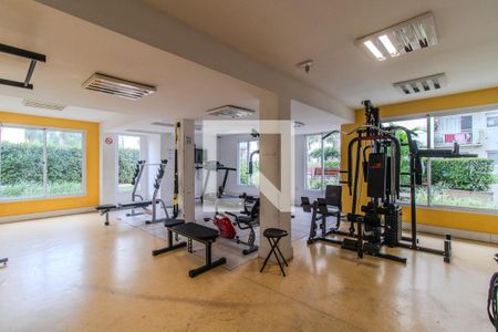 Área comum - Academia de apartamento à venda com 3 quartos, 68m² em Tristeza, Porto Alegre