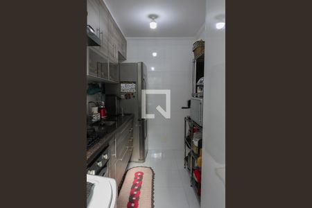 Cozinha de apartamento para alugar com 2 quartos, 53m² em Parque Frondoso, Cotia