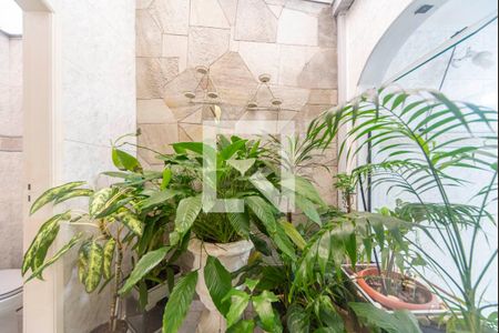 Sala - Jardim de Inverno de casa à venda com 3 quartos, 177m² em Vila Pires, Santo André