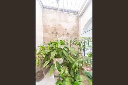 Sala - Jardim de Inverno de casa à venda com 3 quartos, 177m² em Vila Pires, Santo André