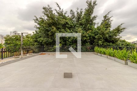 Área Comum - Solarium de apartamento à venda com 1 quarto, 30m² em Parque Colonial, São Paulo