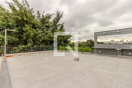 Área Comum - Solarium de apartamento à venda com 1 quarto, 30m² em Parque Colonial, São Paulo
