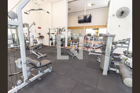 Apartamento para alugar com 55m², 1 quarto e 2 vagas Apartamento para alugar com 55m², 1 quarto e 2 vagasÁrea comum - Academia