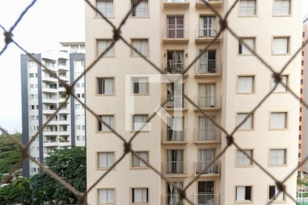 Vista/Sala de apartamento para alugar com 2 quartos, 52m² em Vila Sofia, São Paulo