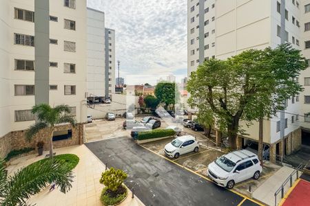Vista dos Quartos 1 e 2 de apartamento para alugar com 3 quartos, 73m² em Vila Monumento, São Paulo