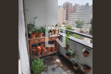 Foto 09 de apartamento para alugar com 4 quartos, 170m² em Moema, São Paulo