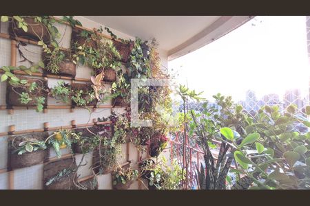 Varanda da Sala de apartamento à venda com 3 quartos, 105m² em Perdizes, São Paulo