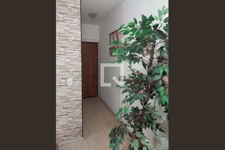 Apartamento à venda com 3 quartos, 67m² em Nova Petrópolis, São Bernardo do Campo