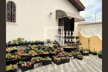 Casa à venda com 3 quartos, 230m² em Nova Petrópolis, São Bernardo do Campo
