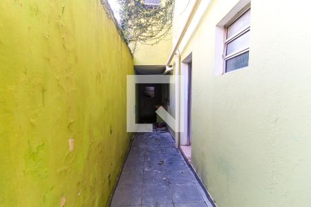 Quintal de casa para alugar com 2 quartos, 50m² em Jardim Itapemirim, São Paulo