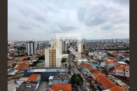 Apartamento à venda com 3 quartos, 116m² em Lauzane Paulista, São Paulo