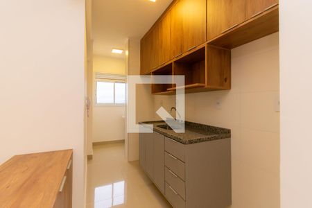 Cozinha de apartamento à venda com 2 quartos, 53m² em Jardim Avelino, São Paulo