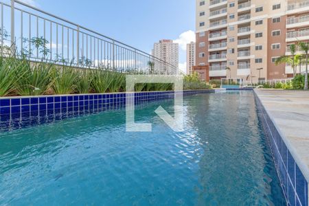 Área comum - Piscina de apartamento para alugar com 2 quartos, 50m² em Jardim Roberto, Osasco